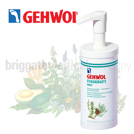 Gehwol Fusskraft Mint - Professional with Pump 500ml - Briggate Medical ...